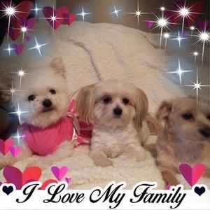 Meet your Posher, Debra